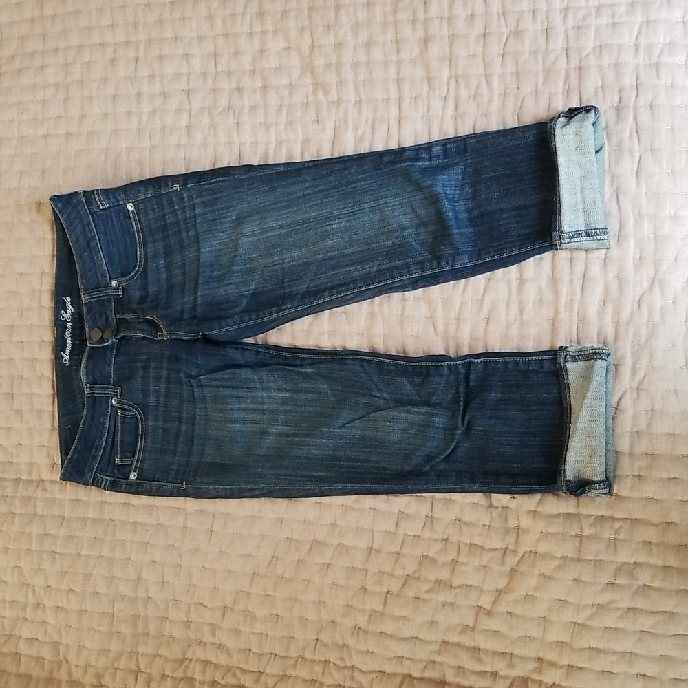 AE Artist capris